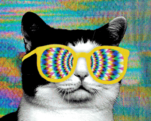 Psycho Cat :3