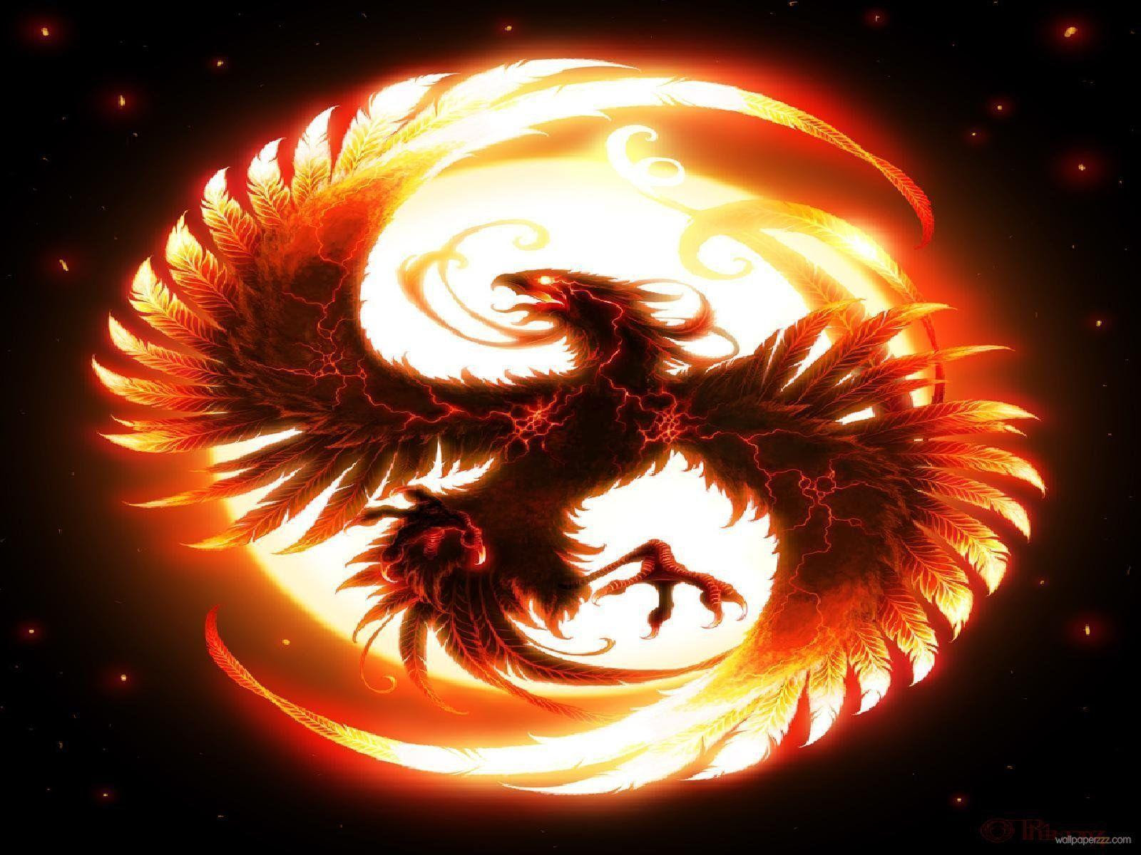  3D  Dragon Wallpapers  Wallpaper  Cave