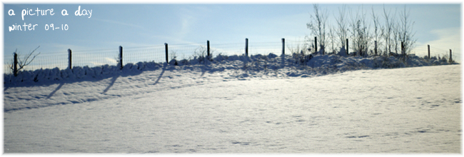 A Picture A Day