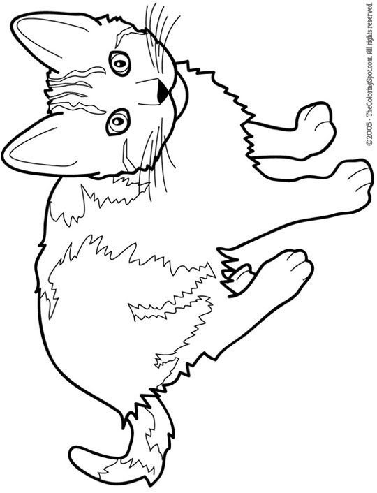 Splat The Cat Coloring Pages : Colouring Book Review: Creative Cats Walk Through With ... / Splat the cat are property and copyright of their owners.