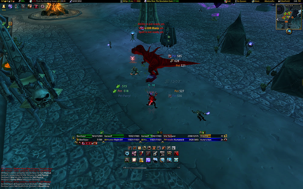 This shot shows my new unit frames, which are Pitbull 4.