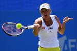 Previewing AEGON International 2013