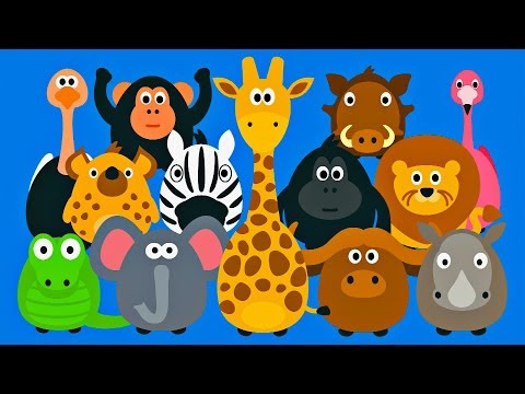 Learning Wild Animals for Kids Teaching Animals Video Learning Wild Animals for Kids Teaching Animals Video