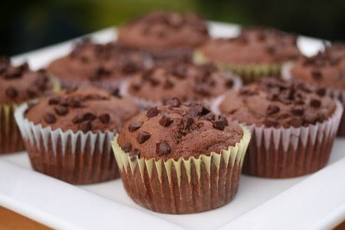 Nigella's Chocolate Chocolate-Chip Muffins