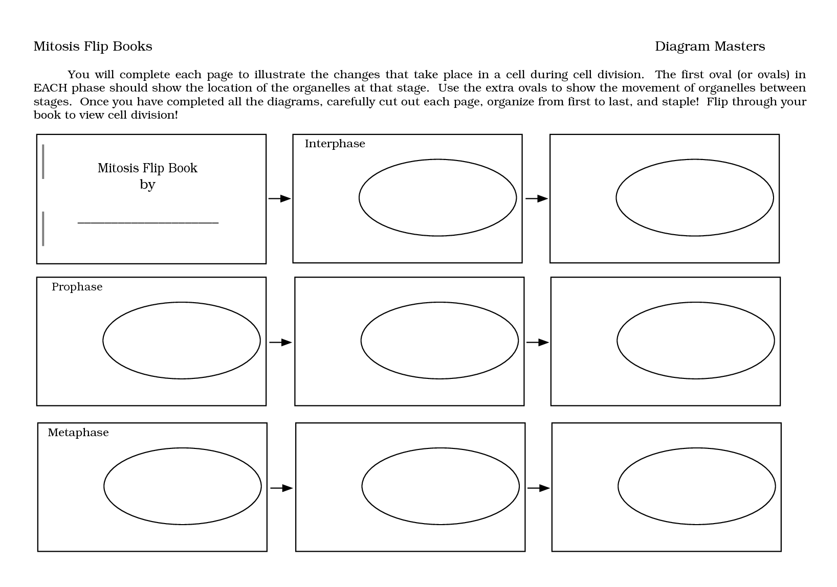 Mitosis Flip Book Answers Diagram Masters - Diagram ...