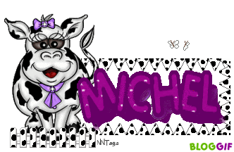 Bon Anniversaire Michel Bar De Gadget