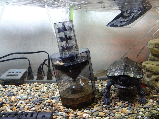 ３回目のピクニックかめ飼育環境