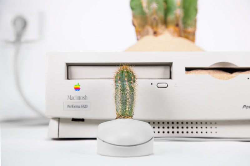 plant_you_mac_macustus_monsieur_plant_2016_1
