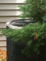 How To Stop Your Air Conditioner From icy Up
