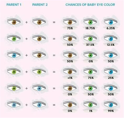  all about the human eye color chart