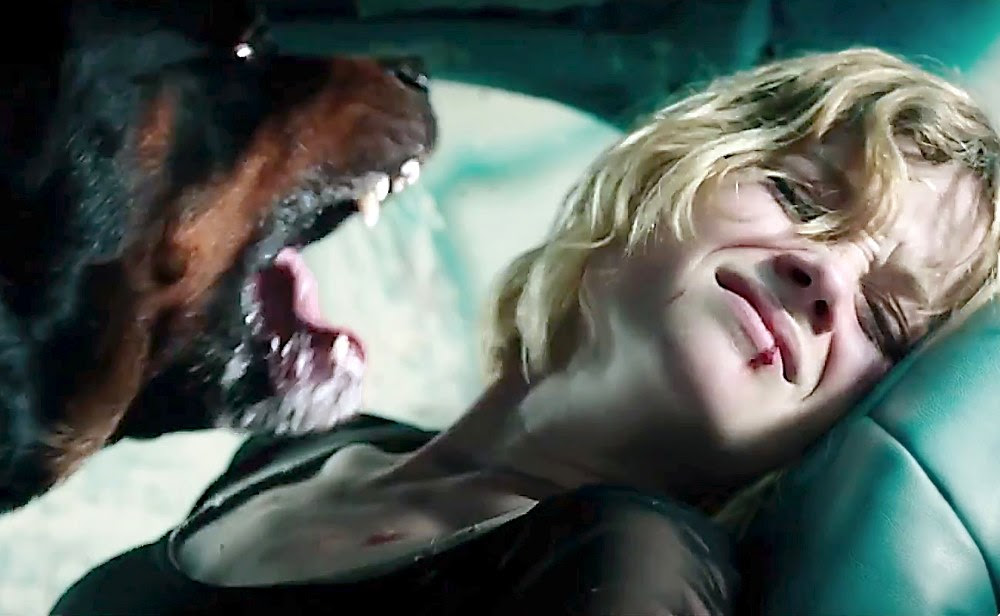 Don't Breathe Review (2016) | Tortuous and Perturbing Thriller