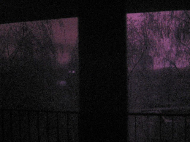 r87_door_z.jpg