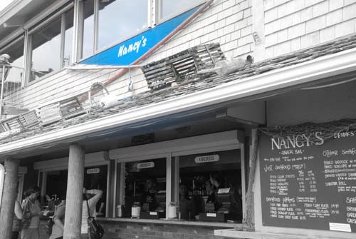 CapeCodNancy's_Pic