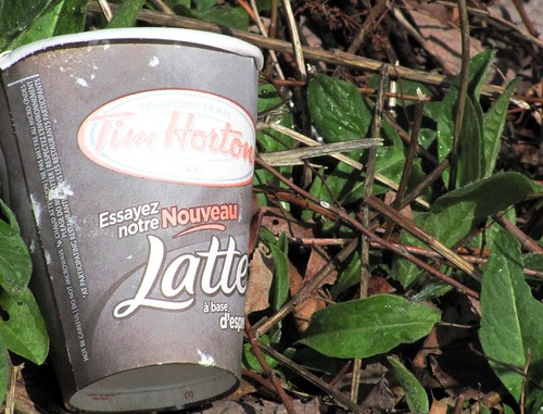 Review of Tim Hortons' Frozen Raspberry Lemonade & Mixed ...