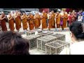 fangshen burung bersama para bhikkhu sangha