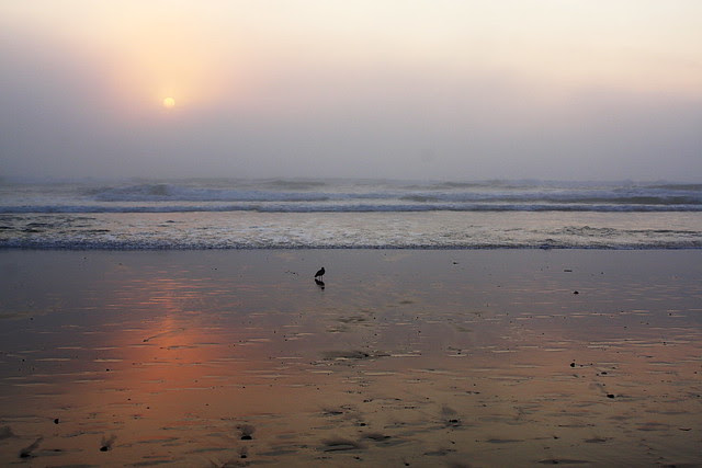 sunset, lincoln city