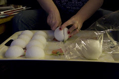 Cutting the Spheres