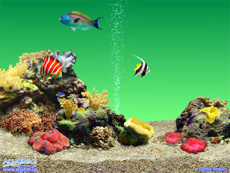 most dazzling 3D aquarium!