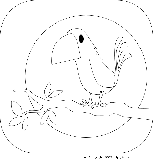 Coloriage Oiseau Sur Une Branche