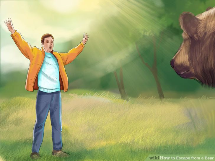 Escape from a Bear Step 12.jpg