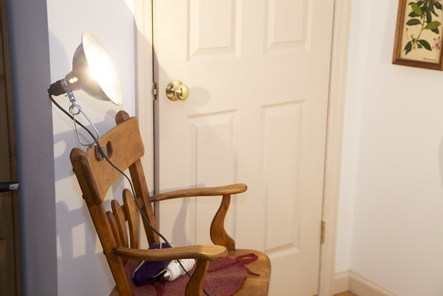 DIY Indoor Photography Lighting