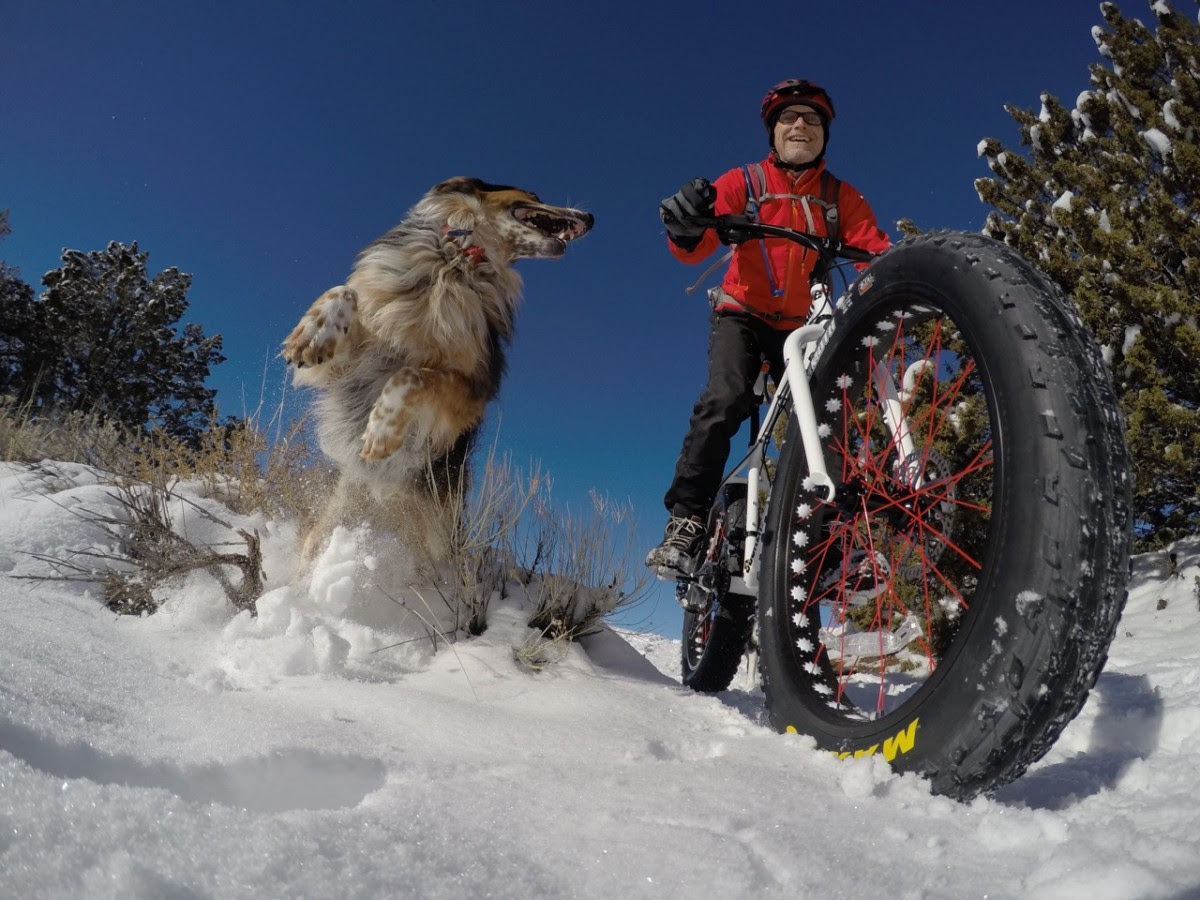 Do Dogs Smile? - Singletracks Mountain Bike News