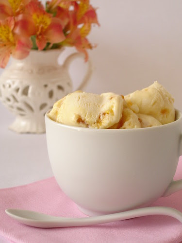 Creme brulée ice cream / Sorvete de creme brulée