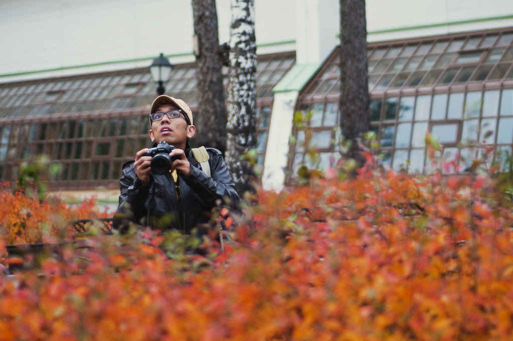 500 Days of Autumn