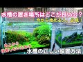 √画像をダウンロード 浅い 水槽 765051-ザリガニ 水槽 浅い