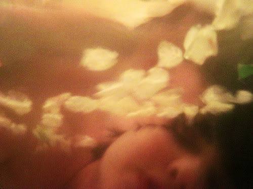 sweet dreams