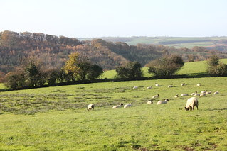 Chulmleigh, from King's Nympton 009