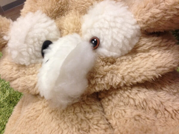 超簡単 赤ちゃん 子供用ダッフィーの着ぐるみの作り方 ままはっく