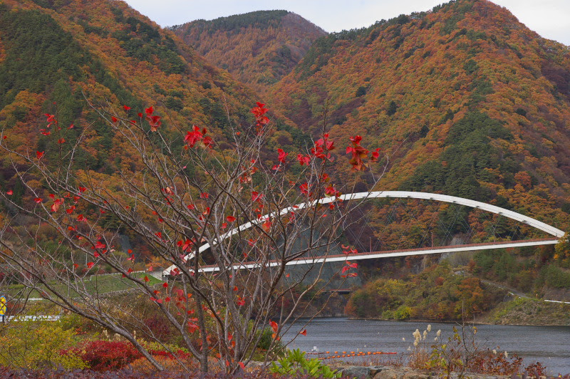 瑞牆山 みずがきやま 周辺の紅葉と蕎麦 ペンション あるびおん