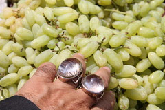 sour grapes she said ,..left me with thorns on my bed by firoze shakir photographerno1