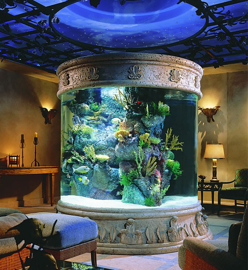 91 Koleksi Aquarium Design Inside The House Terbaik