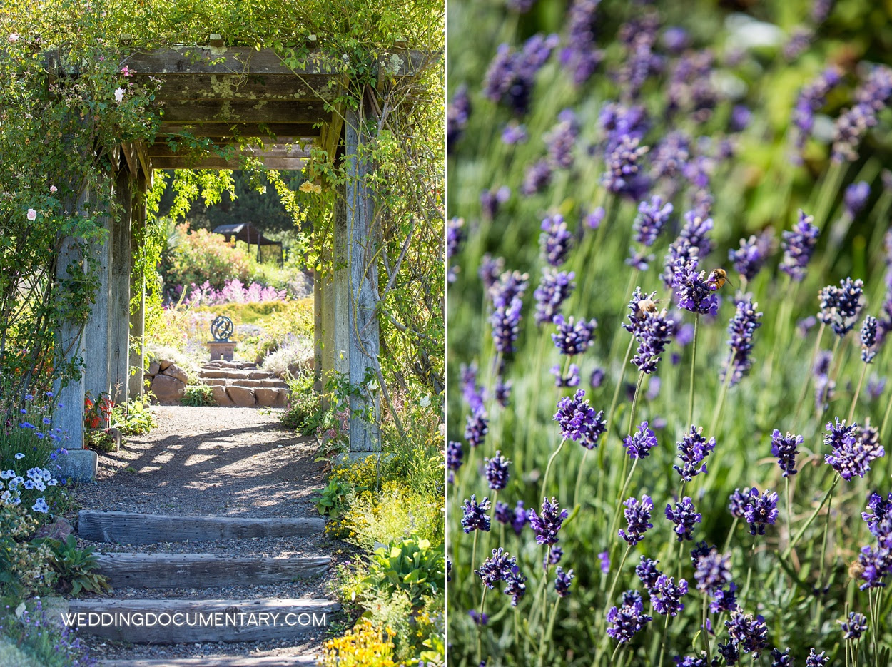 Garden Berkeley Botanical Wedding
