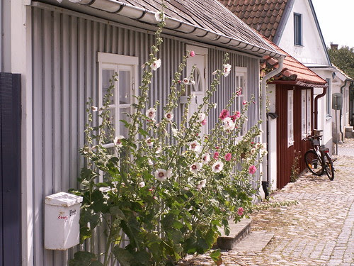 Torekov