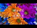 いろいろ 蜷川 実花 画像 298981-蜷川 実花 画像 壁紙