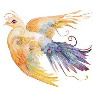 tube oiseau 