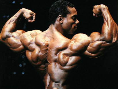 Bodybuilding 3er split plan house