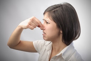 smell - 300.jpg