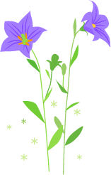 秋の花 桔梗 無料イラスト素材 山田聖子のイラストブログ