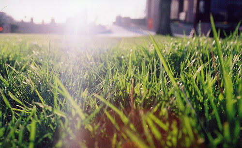 what I shot