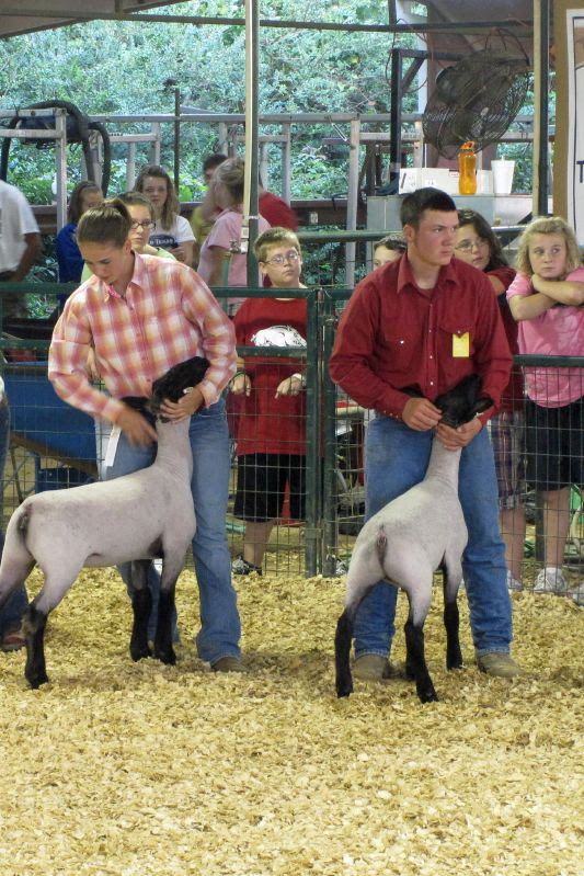 Polk County Fair 12