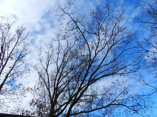 skywatchtDSCN2304