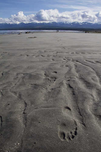 on the sand
