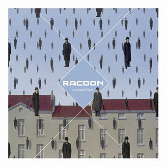 racoon.jpg