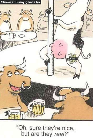 funny cow comics 1 COWTITS