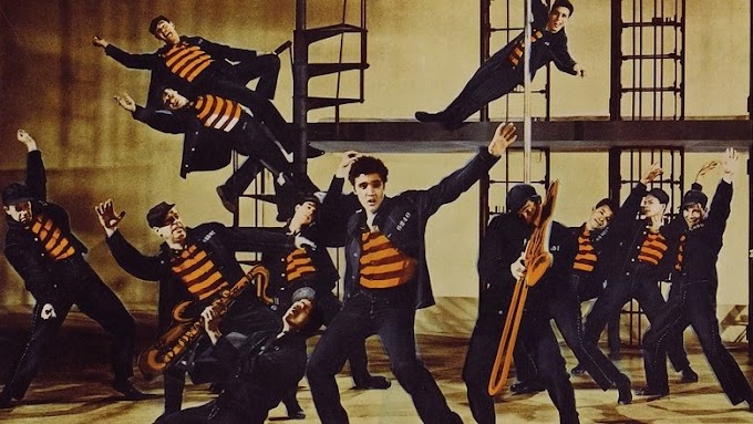 Il delinquente del rock'n'roll streaming film italia senza 4k completo
altadefinizione01 big cinema download 1957
