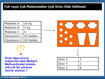 Ürün ağacı örneği